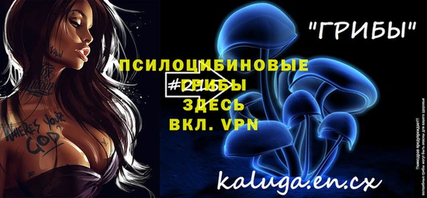 прущая мука Абаза