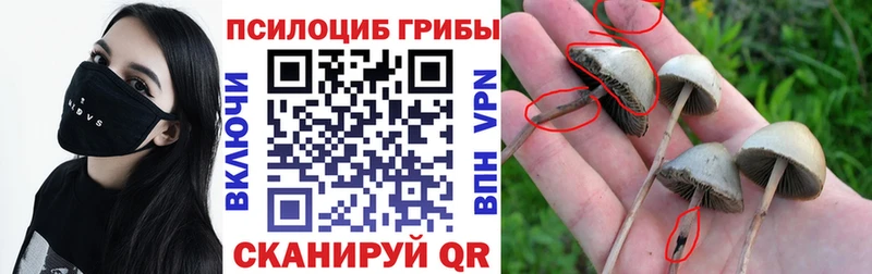 Псилоцибиновые грибы прущие грибы  МЕГА tor  Екатеринбург 