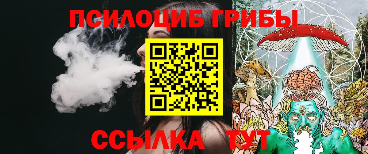 Галлюциногенные грибы прущие грибы Екатеринбург