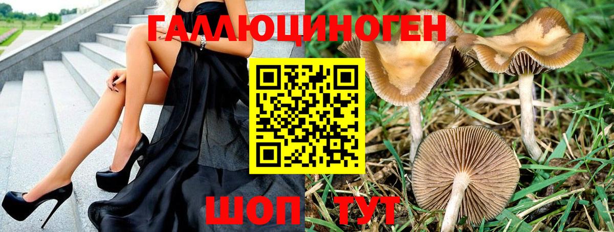 Псилоцибиновые грибы Psilocybine cubensis  Вход с VPN  Екатеринбург 